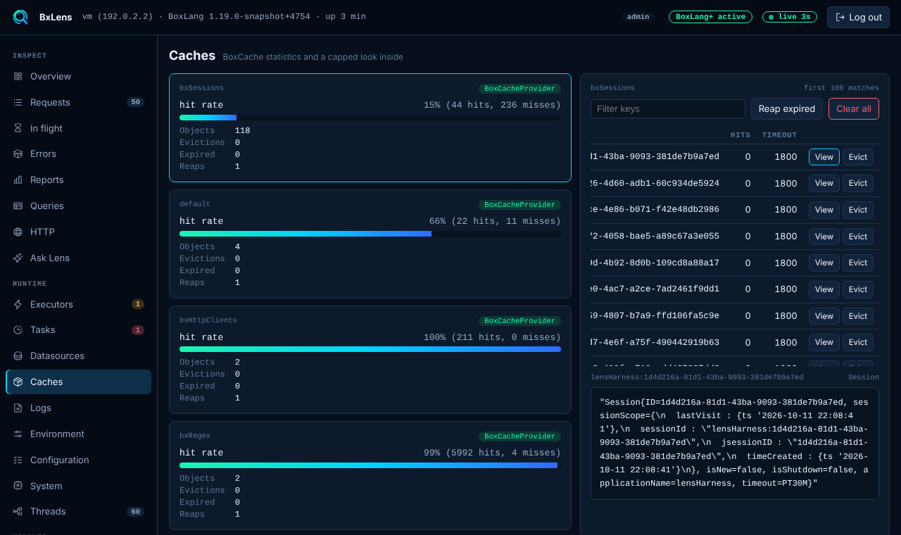 The Caches page